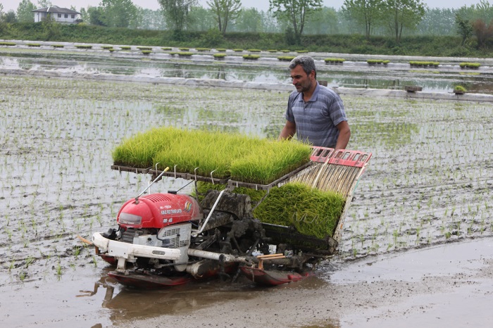 مجتمع کشاورزی 