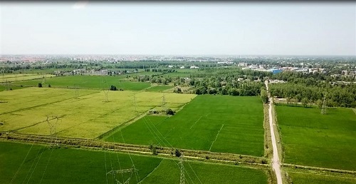 موفقیت شرکت سهامی کشاورزی و دامپروری سفیدرود در زمینه اهداف راهبردی میان مدت