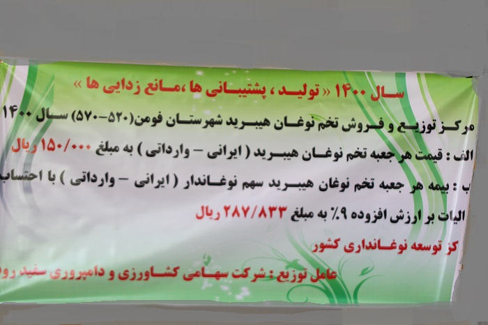آغاز توزیع و فروش تخم نوغان در استان گیلان
