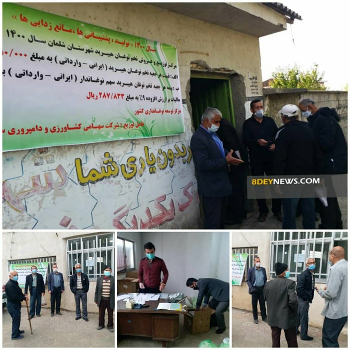 آغاز توزیع و فروش تخم نوغان در استان گیلان